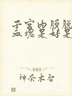 子宫内膜脱落有血块是好是坏封面