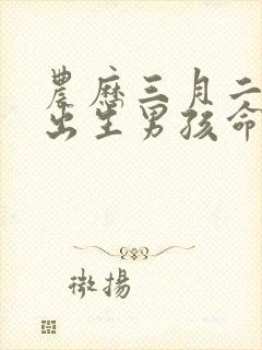 农历三月二十一出生男孩命运好吗?