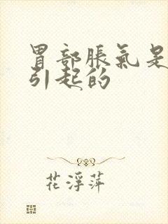 胃部胀气是什么引起的