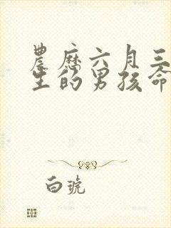 农历六月三十出生的男孩命运封面