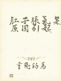 肚子胀气是什么原因引起