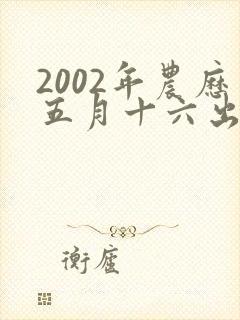 2002年农历五月十六出生女孩命运