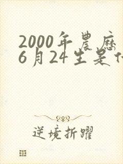 2000年农历6月24生是什么命