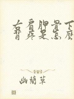 右肩胛骨下方后背疼是怎么回事