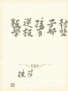 叛逆孩子封闭式学校有哪些