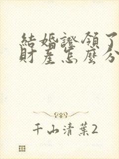 结婚证领了离婚财产怎么分割