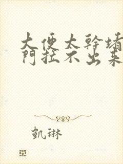 大便太干堵在肛门拉不出来怎么办