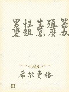 男性生殖器延长变粗怎么办封面