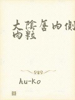 大阴唇内侧长个肉粒