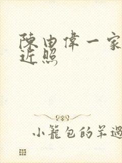 陈由伟一家三口近照