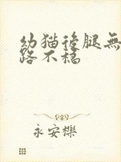 幼猫后腿无力走路不稳