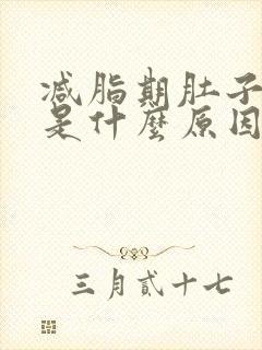 减脂期肚子胀气是什么原因