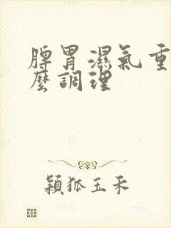 脾胃湿气重的怎么调理