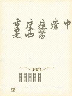 重度痤疮中医还是西医