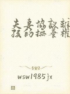 夫妻协议离婚小孩的抚养权归谁封面