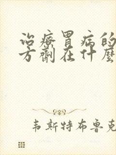 治疗胃病的中药方剂在什么时候服用