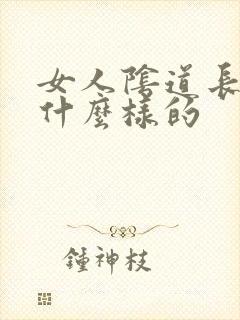 女人阴道长疣是什么样的