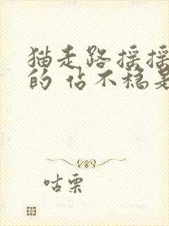 猫走路摇摇晃晃的 站不稳是怎么回事封面