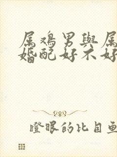 属鸡男与属虎女婚配好不好