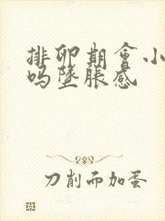 排卵期会小腹痛吗坠胀感