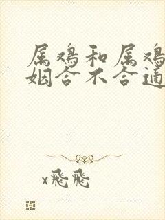 属鸡和属鸡的婚姻合不合适