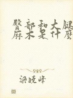 臀部和大腿后侧麻木是什么原因