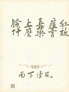 脸上长痘红肿用什么药膏效果好