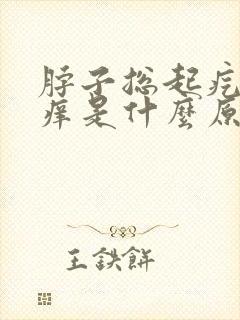 脖子总起疙瘩发痒是什么原因