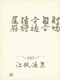 属猪今日财运打麻将适合吗