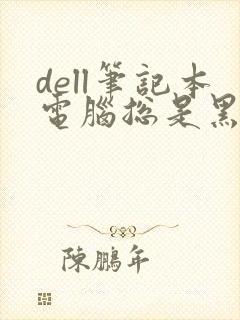 dell笔记本电脑总是黑屏什么原因