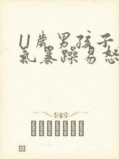 11岁男孩子脾气暴躁易怒怎么办