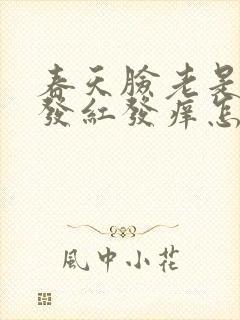 春天脸老是过敏发红发痒怎么办