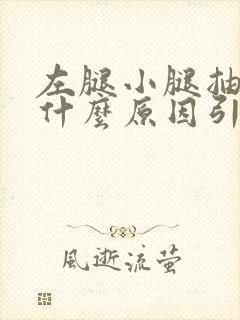 左腿小腿抽筋是什么原因引起的