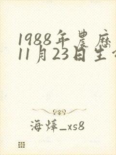 1988年农历11月23日生命运