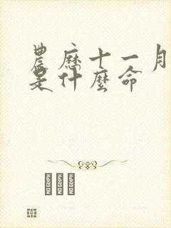 农历十一月十七是什么命