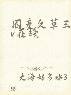 国产久草三级av在线