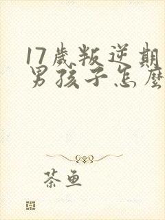 17岁叛逆期的男孩子怎么去引导