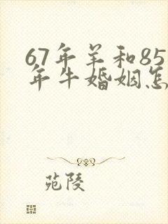 67年羊和85年牛婚姻怎么样封面
