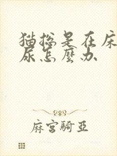 猫总是在床上拉尿怎么办