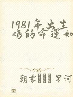 1981年出生鸡的命运如何
