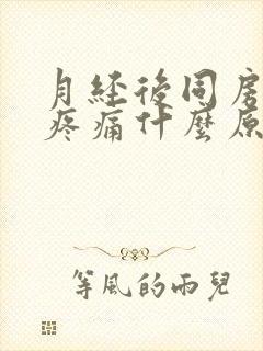 月经后同房小腹疼痛什么原因