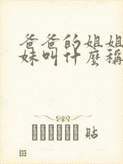 爸爸的姐姐和妹妹叫什么称呼封面