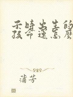 子时出生的牛男孩命运怎么样