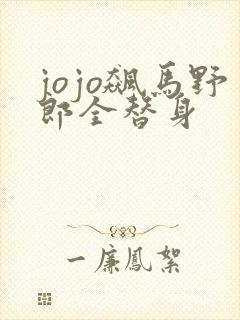 jojo飙马野郎全替身
