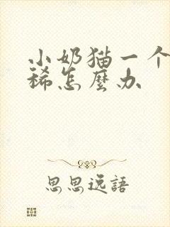 小奶猫一个月拉稀怎么办封面