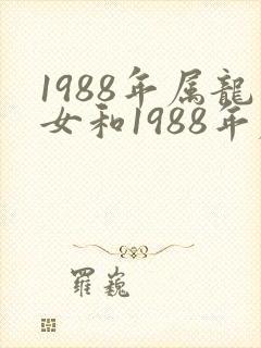 1988年属龙女和1988年属龙男婚配