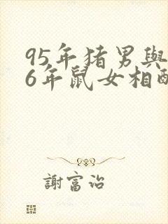 95年猪男与96年鼠女相配吗