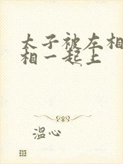 太子被左相和右相一起上封面