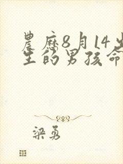 农历8月14出生的男孩命运