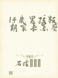 14岁男孩叛逆期家长怎么办?